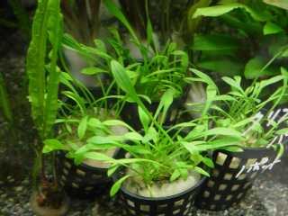 �N���v�g�R���l��p���o