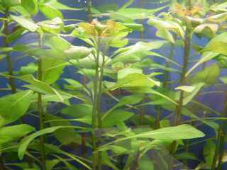 ���h�E�B�W�Asp�L���[�o